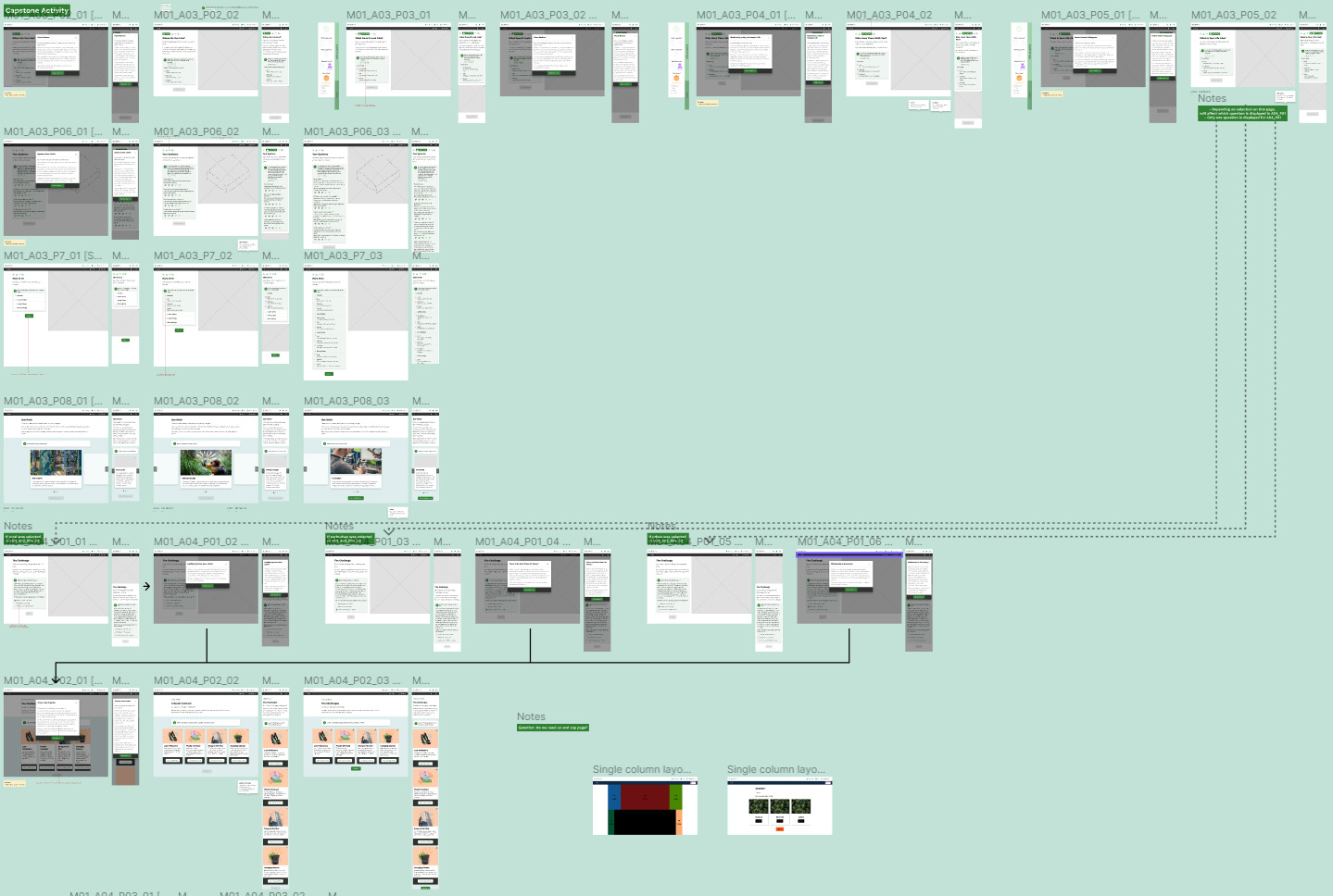 Overview of the Capstone Activity